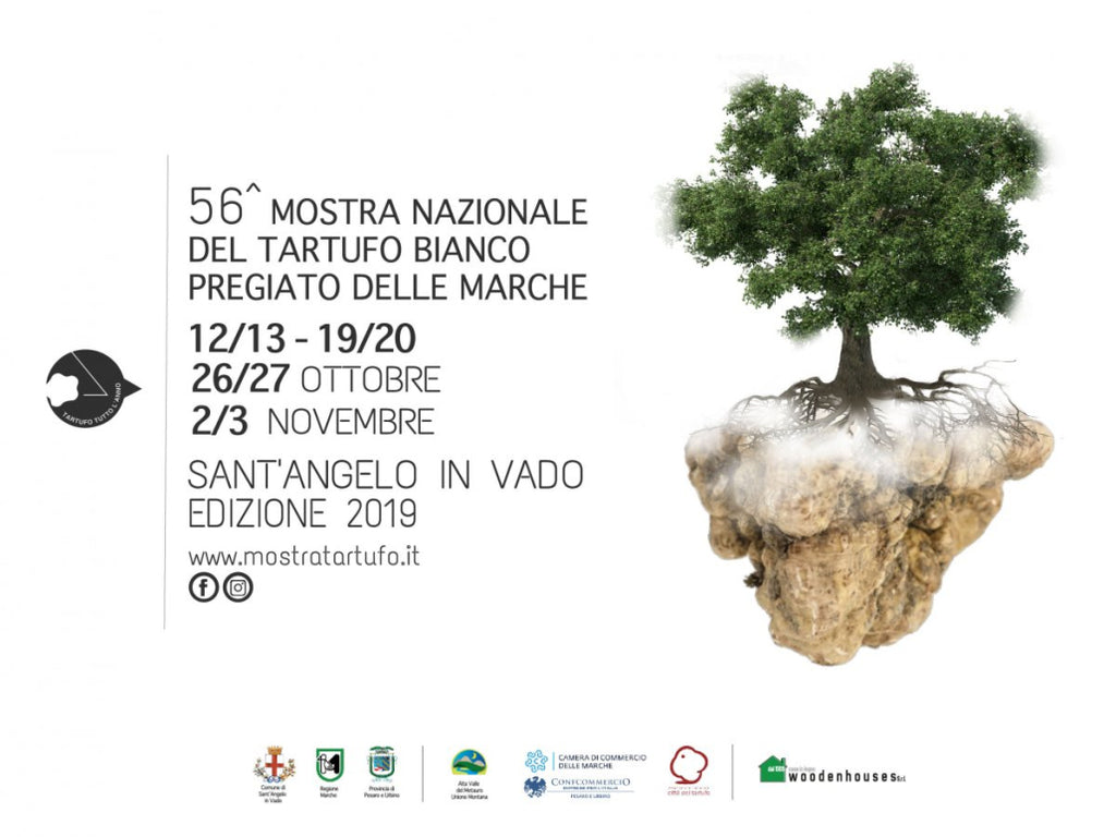 Il nostro “Metis” alla Mostra Nazionale del Tartufo Bianco